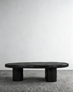 Obsidian Coffee Table