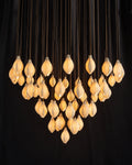 Tulip Chandelier